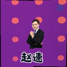 赵速